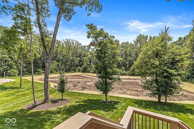 11705 Walton Cres, Zionsville, IN 46077 - photo 74
