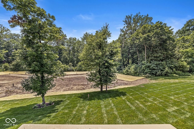 11705 Walton Cres, Zionsville, IN 46077 - photo 73