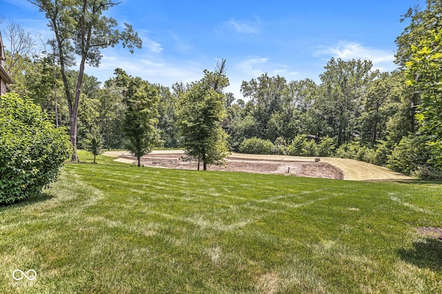 11705 Walton Cres, Zionsville, IN 46077 - photo 68