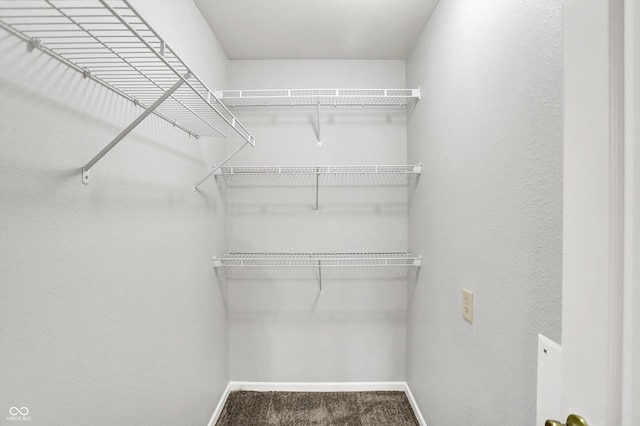 10191 Cumberland Pointe Blvd, Noblesville, IN 46060 - photo 28