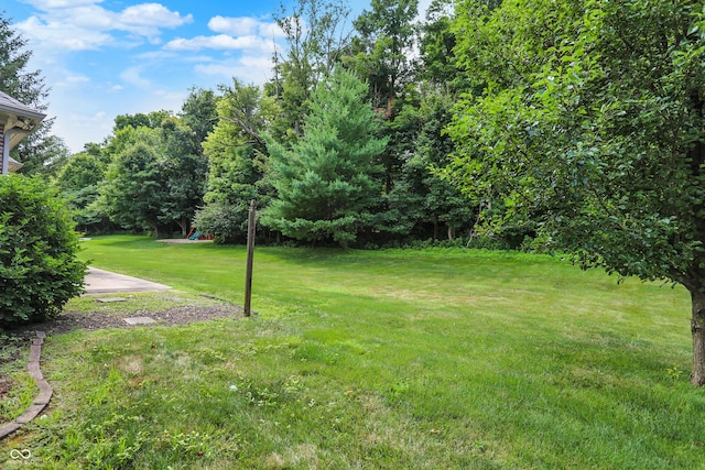 2048 Aspen Dr, Avon, IN 46123 - photo 59