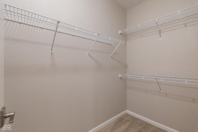 12833 Tradd St Unit 3A, Carmel, IN 46032 - photo 22