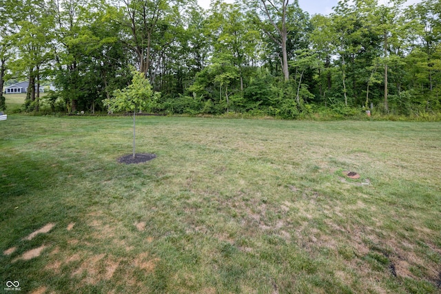 17992 Ranger Way, Westfield, IN 46074 - photo 28