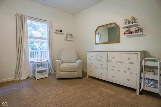 3040 Stilton Dr, Cicero, IN 46034 - photo 17