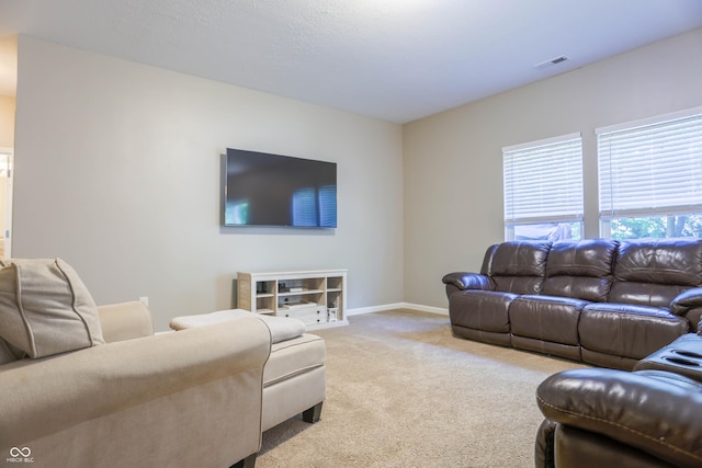 3040 Stilton Dr, Cicero, IN 46034 - photo 10