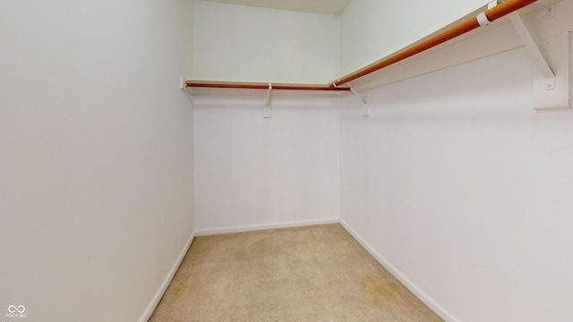 912 Lionshead Ln, Greenwood, IN 46143 - photo 19