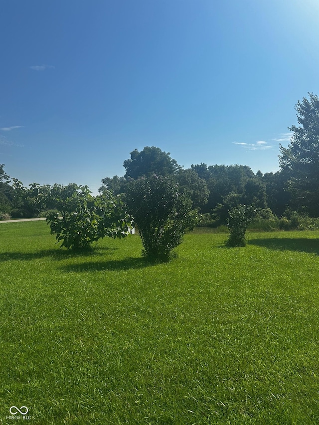 2456 Hyden Rd, Spencer, IN 47460 - photo 19