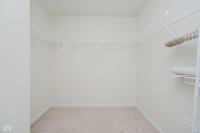 6653 Rainwater Ln, Whitestown, IN 46075 - photo 16