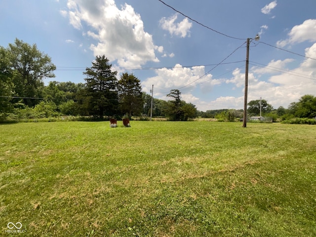 9835 N State Highway 7 N, Elizabethtown, IN 47232 - photo 22