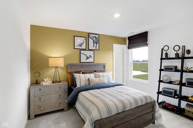 16950 Sherwin Ct, Noblesville, IN 46062 - photo 51