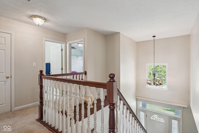 15618 River Birch Rd, Westfield, IN 46074 - photo 18