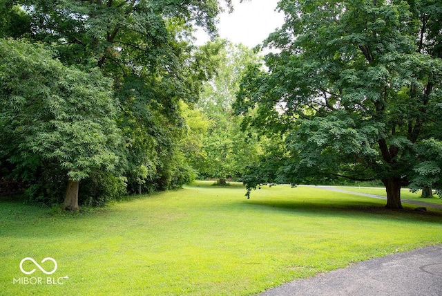 6780 E Pleasant Run Pw Dr N, Indianapolis, IN 46219 - photo 37