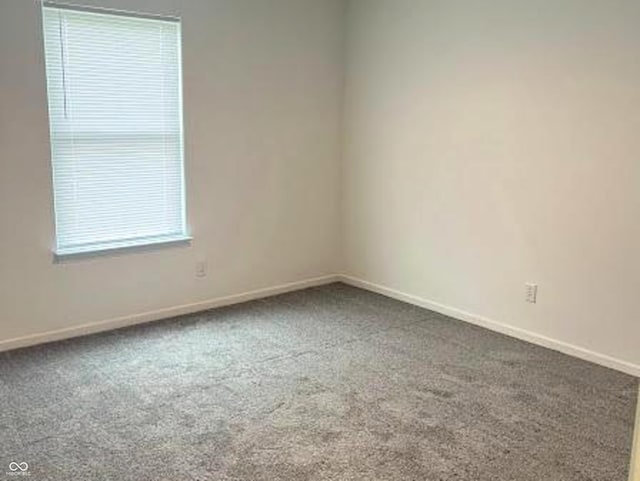13303 N Etna Green Dr, Camby, IN 46113 - photo 14