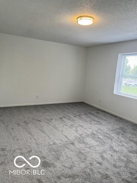 13303 N Etna Green Dr, Camby, IN 46113 - photo 9