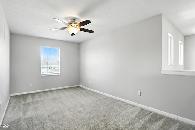 809 Blackberry Dr, Greenwood, IN 46143 - photo 19