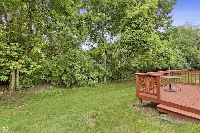 1005 Buffalo Run Way, Indianapolis, IN 46227 - photo 13