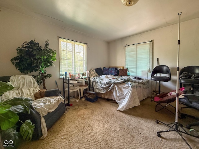 2223 Nichol Ave, Anderson, IN 46016 - photo 49