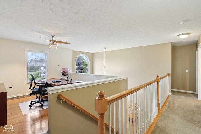 1019 Belvedere Pl, Westfield, IN 46074 - photo 23