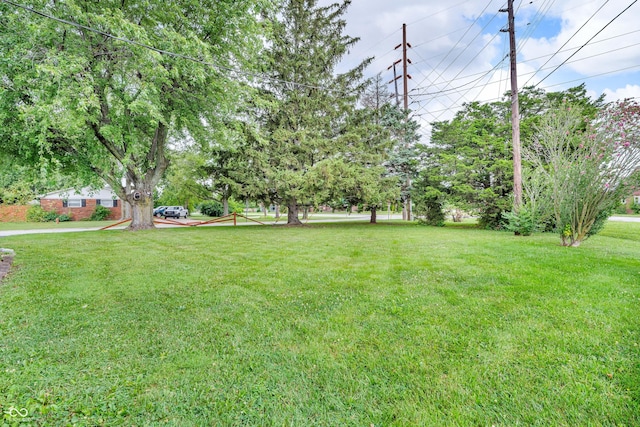 2849 S Elizabeth St, Indianapolis, IN 46203 - photo 28