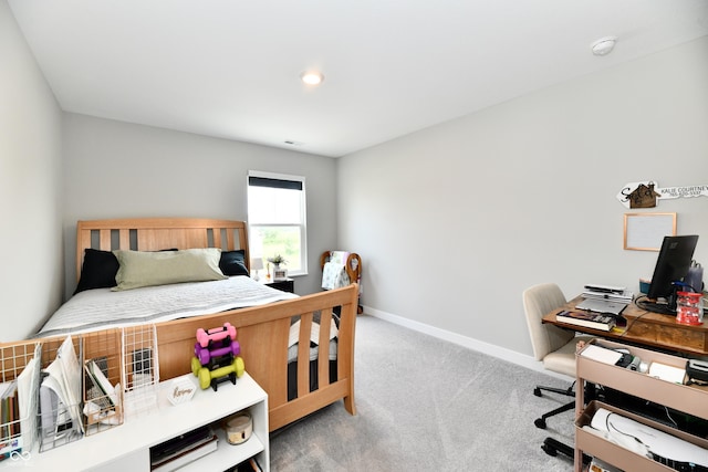 31 Hollister Way, Cicero, IN 46034 - photo 33