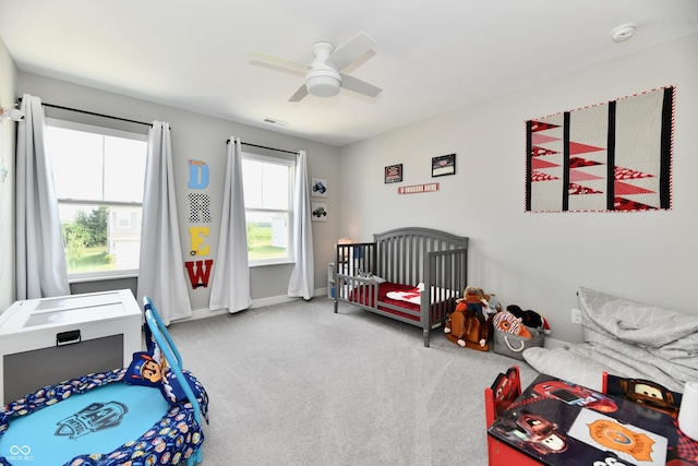 31 Hollister Way, Cicero, IN 46034 - photo 30