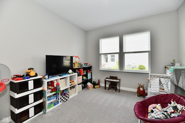 31 Hollister Way, Cicero, IN 46034 - photo 15