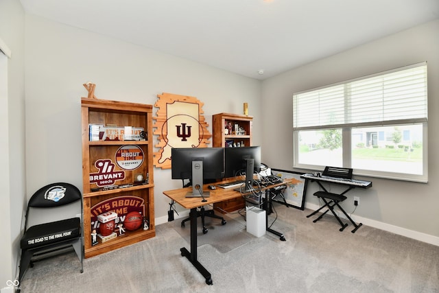 31 Hollister Way, Cicero, IN 46034 - photo 10