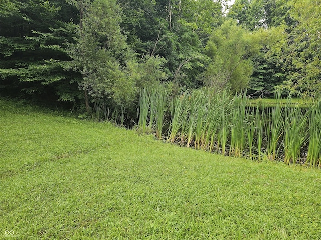 11245 S County Road 775 W, Reelsville, IN 46171 - photo 19