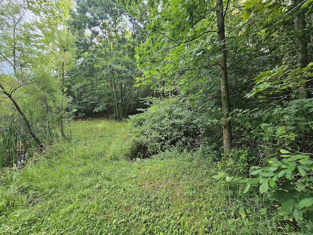 11245 S County Road 775 W, Reelsville, IN 46171 - photo 11