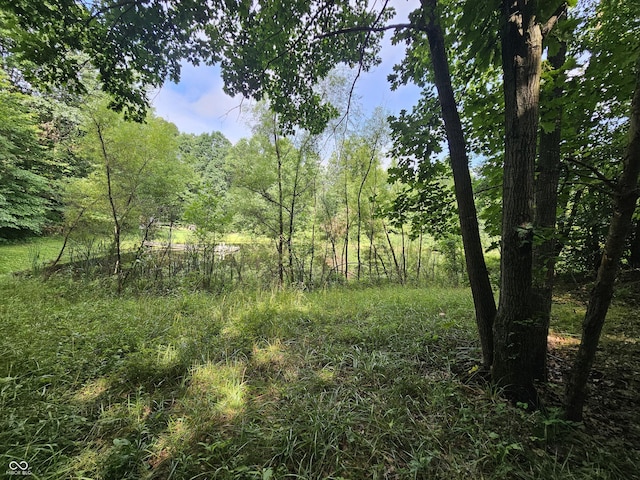 11245 S County Road 775 W, Reelsville, IN 46171 - photo 13