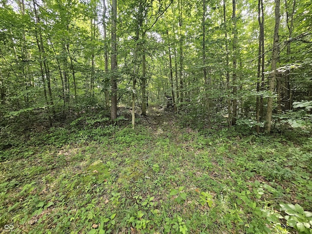 11245 S County Road 775 W, Reelsville, IN 46171 - photo 12