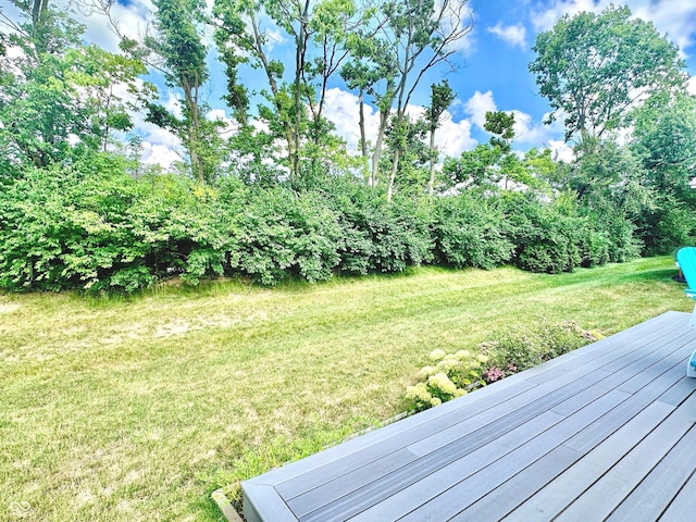 5735 Lyster Ln, Indianapolis, IN 46239 - photo 7