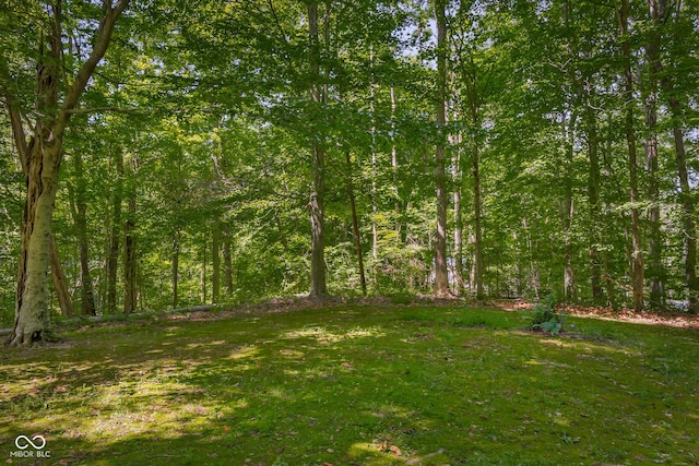 13555 Bellsville Pike, Columbus, IN 47201 - photo 61
