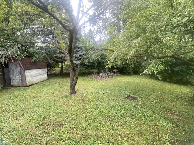 1425 N Bolton Ave, Indianapolis, IN 46219 - photo 2