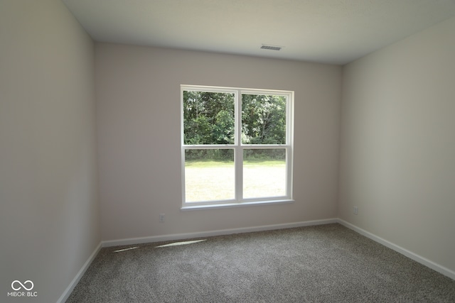 10435 Oak Bend Blvd, Indianapolis, IN 46239 - photo 9