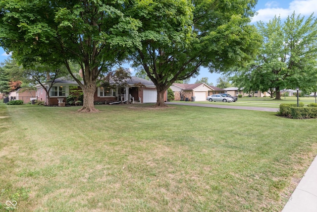1411 N Mitchner Ave, Indianapolis, IN 46219 - photo 5