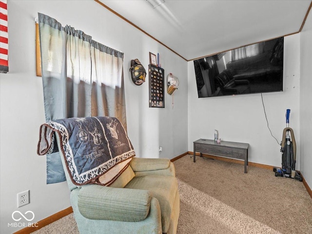 555 W Pennsylvania St, Shelbyville, IN 46176 - photo 21