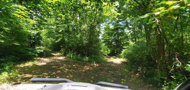 12251 E Wagner Rd, Solsberry, IN 47459 - photo 38