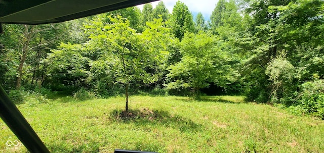 12251 E Wagner Rd, Solsberry, IN 47459 - photo 54