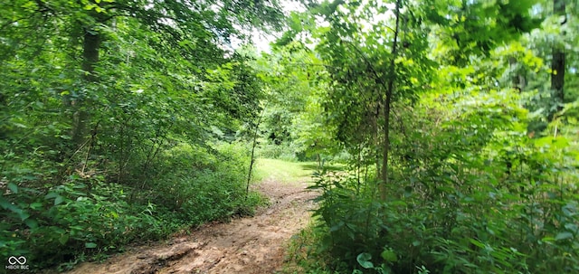 12251 E Wagner Rd, Solsberry, IN 47459 - photo 67