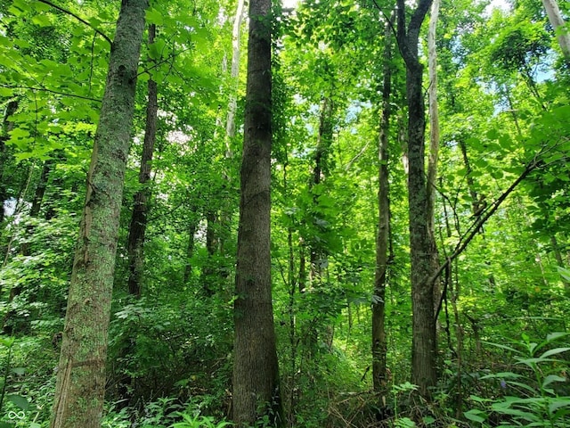 12251 E Wagner Rd, Solsberry, IN 47459 - photo 26