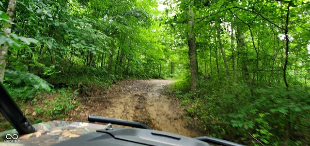 12251 E Wagner Rd, Solsberry, IN 47459 - photo 31