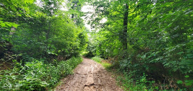 12251 E Wagner Rd, Solsberry, IN 47459 - photo 71