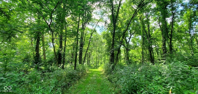 12251 E Wagner Rd, Solsberry, IN 47459 - photo 49