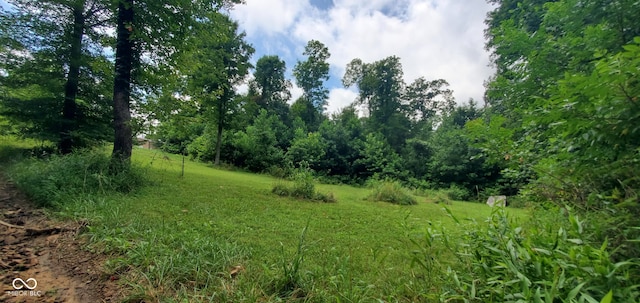 12251 E Wagner Rd, Solsberry, IN 47459 - photo 72