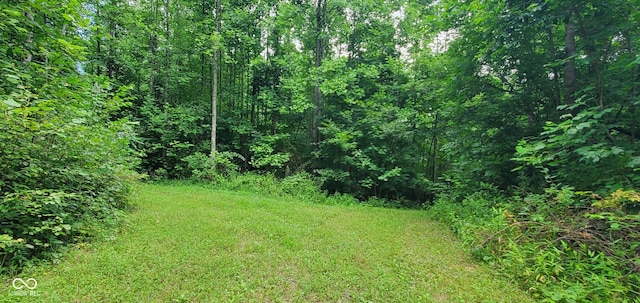 12251 E Wagner Rd, Solsberry, IN 47459 - photo 32
