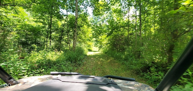 12251 E Wagner Rd, Solsberry, IN 47459 - photo 41
