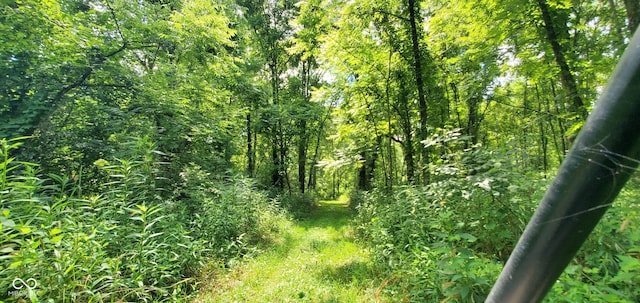 12251 E Wagner Rd, Solsberry, IN 47459 - photo 46