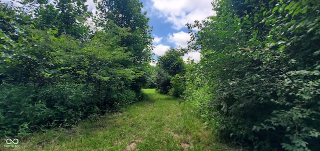12251 E Wagner Rd, Solsberry, IN 47459 - photo 44