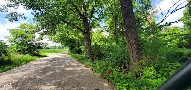 12251 E Wagner Rd, Solsberry, IN 47459 - photo 81